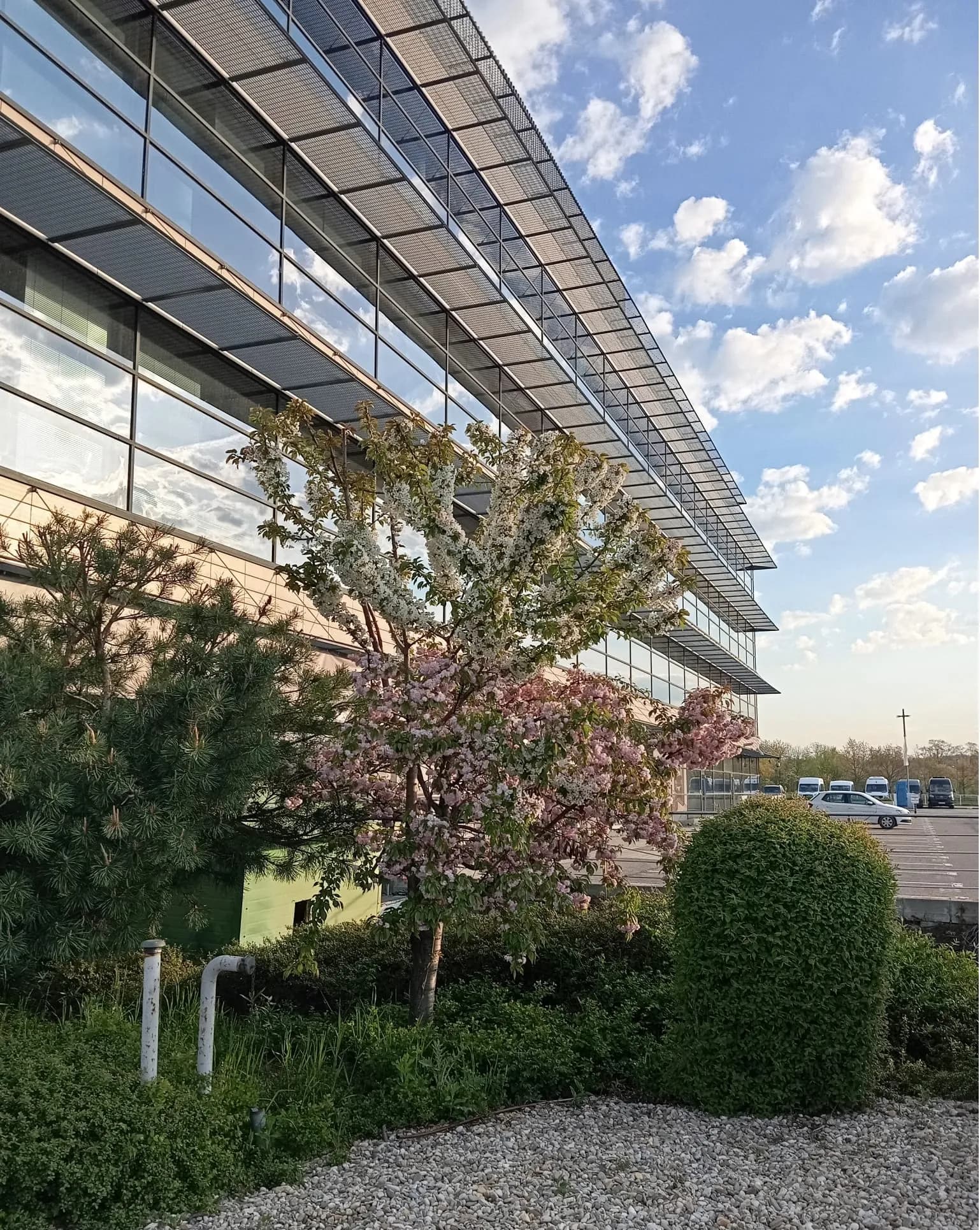 Băneasa Business & Technology Park- Office